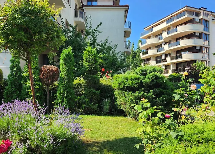 Golden Sunrise Shkorpilovtsi