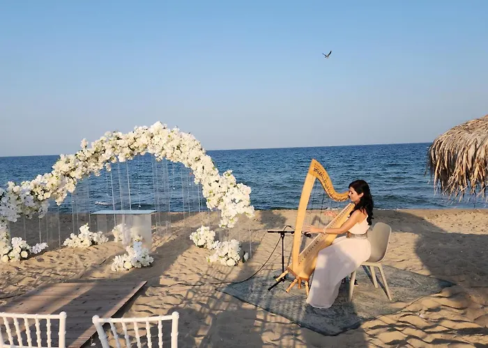 Golden Sunrise * Shkorpilovtsi