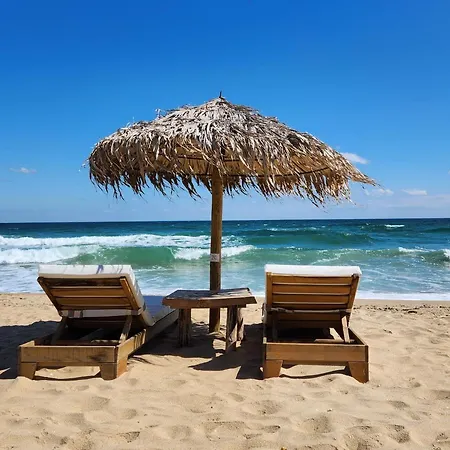 Golden Sunrise * Shkorpilovtsi