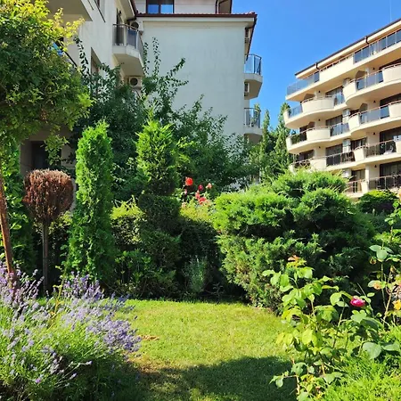 Golden Sunrise Shkorpilovtsi